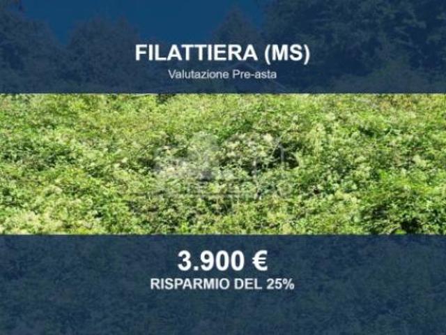 Terreno in vendita a Unione di comuni Montana Lunigiana, Filattiera