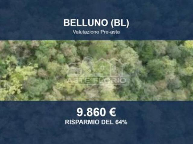Terreno in vendita a Zoldo Alto, Veneto