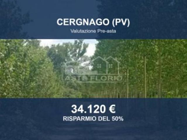Terreno in vendita a Cergnago, Lombardia