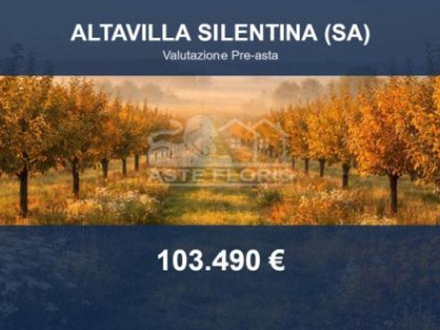 Terreno in vendita a Altavilla Silentina, Campania