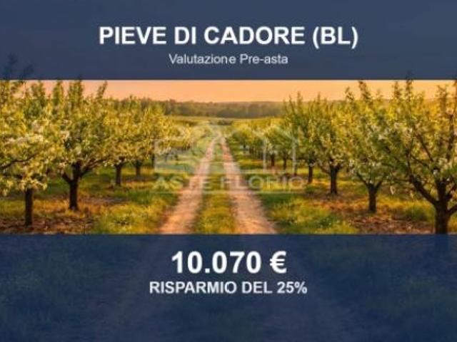 Terreno in vendita a Pieve Di Cadore, Veneto