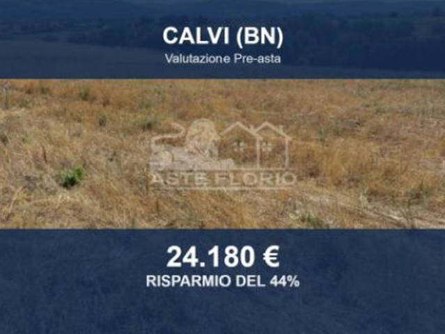 Terreno in vendita a Calvi, Campania