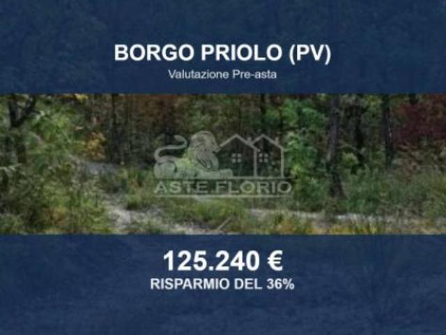 Terreno in vendita a Borgo Priolo, Lombardia