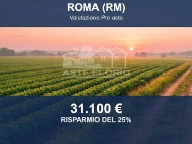 Terreno in vendita a Roma Capitale, Lazio
