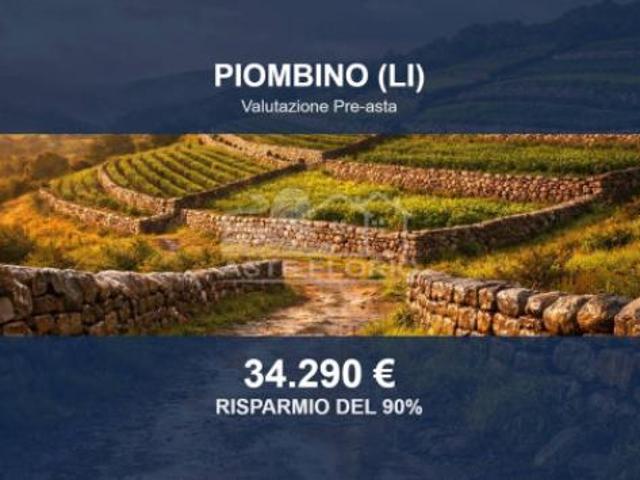 Terreno in vendita a Tolla, Piombino