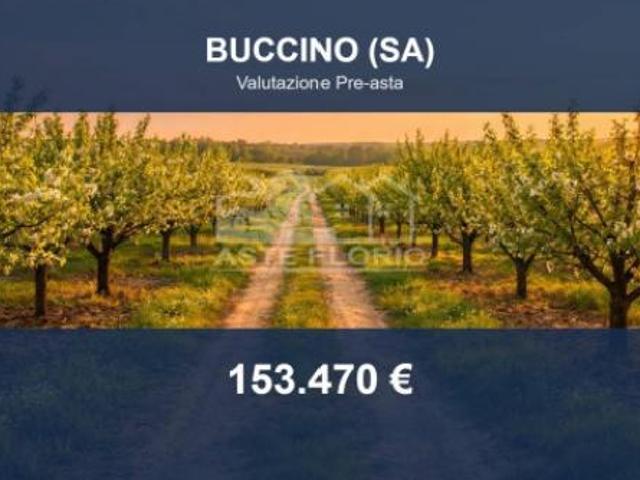 Terreno in vendita a Buccino, Campania