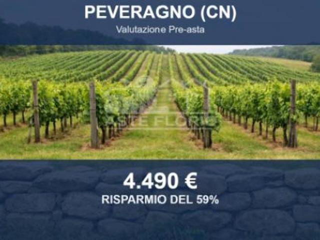Terreno in vendita a Piemonte, Cuneo