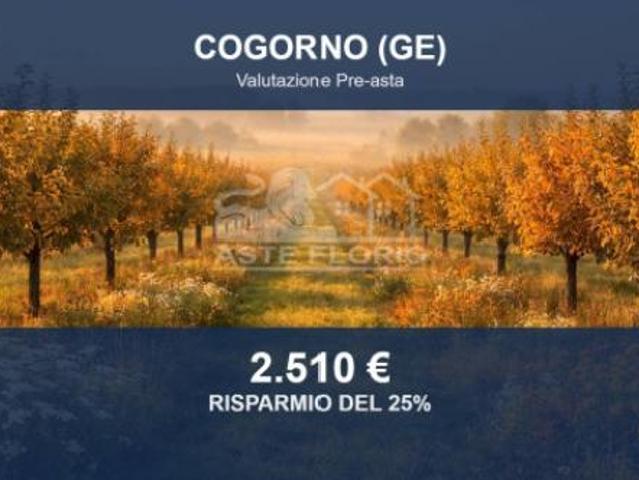 Terreno in vendita a San Salvatore, Cogorno