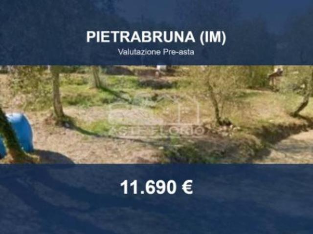 Terreno in vendita a Pietrabruna, Liguria