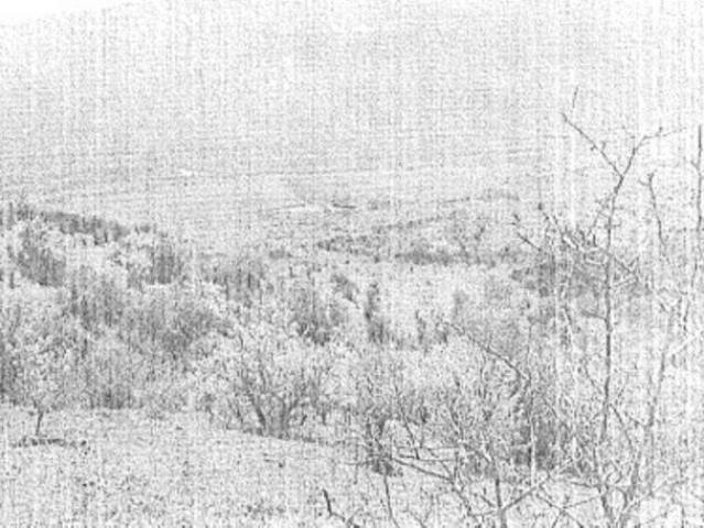 Terreno in vendita a Calciano, Basilicata