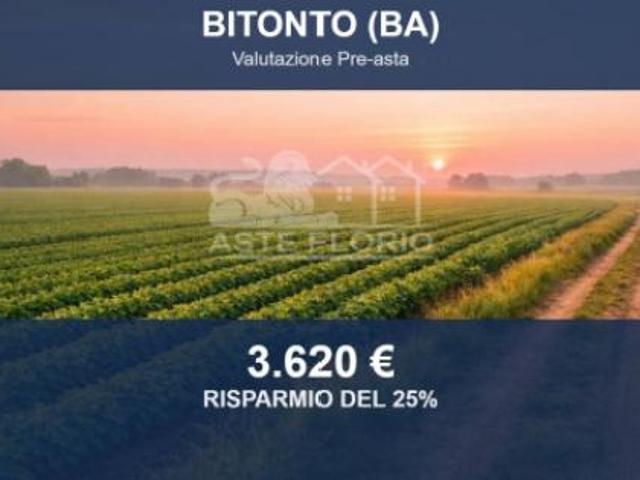 Terreno in vendita a Puglia, Bari