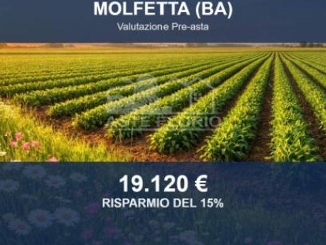 Terreno in vendita a Puglia, Bari