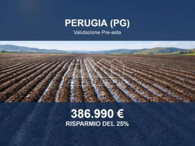 Terreno in vendita a Cenerente, Umbria