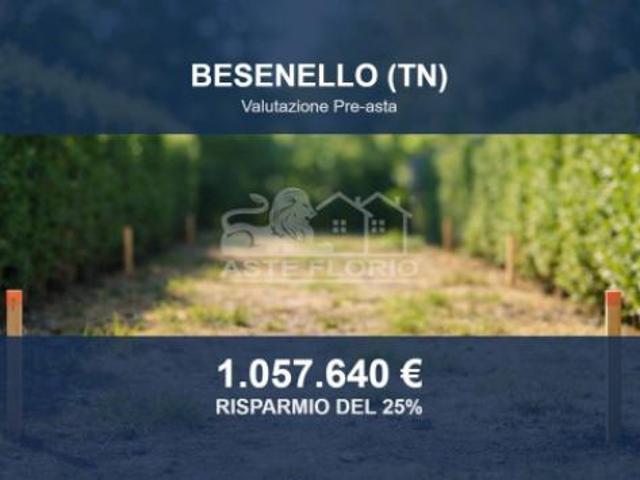 Terreno in vendita a Comunità della Vallagarina, Besenello