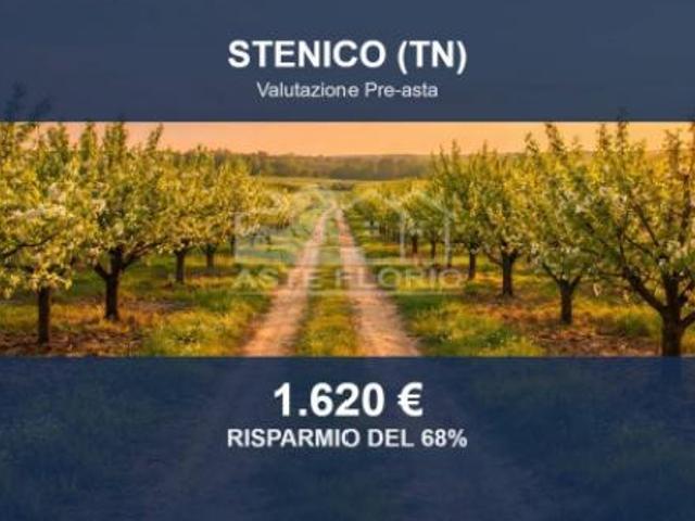 Terreno in vendita a Comunità delle Giudicarie, Stenico