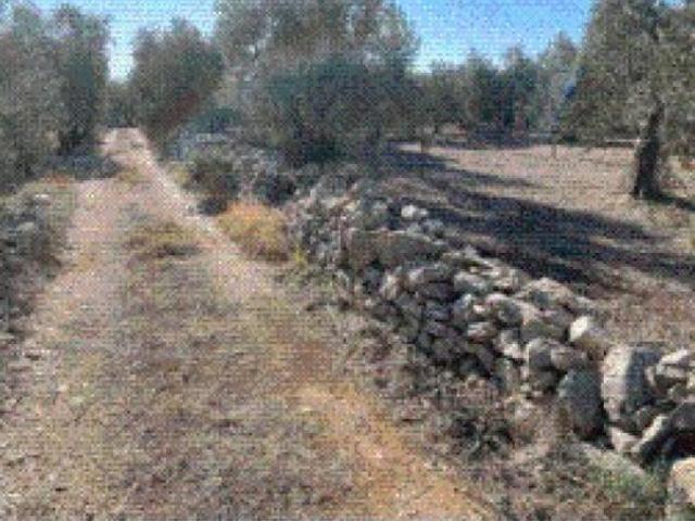 Terreno in vendita a Puglia, Bari