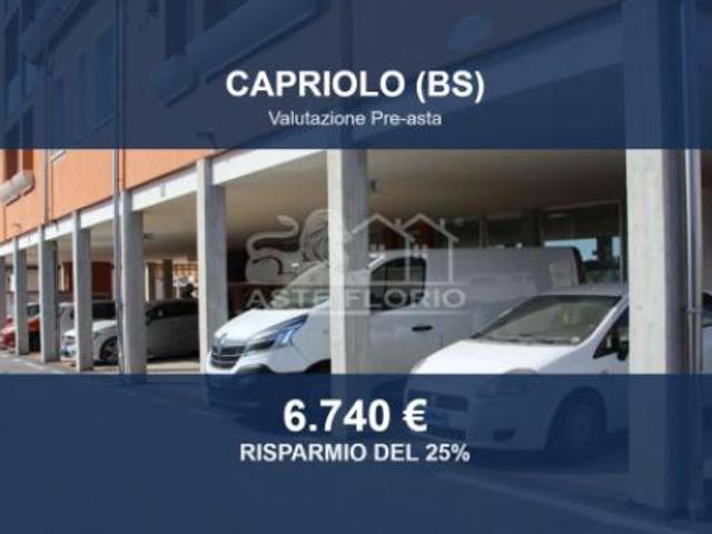 Box in vendita a Capriolo, Lombardia