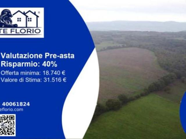 Terreno in vendita a Castel Giorgio, Umbria
