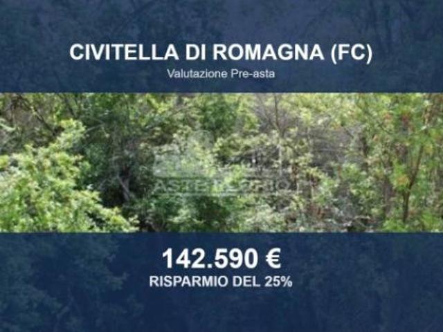 Capannone in vendita a Civitella di Romagna, Forlì-Cesena