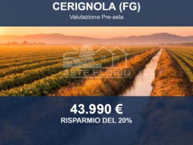 Terreno in vendita a Puglia, Foggia