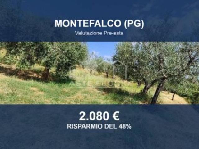 Terreno in vendita a Montefalco, Perugia