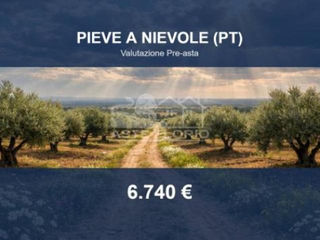 Terreno in vendita a Pieve A Nievole, Toscana