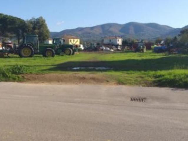 Terreno in vendita a Scarlino, Toscana