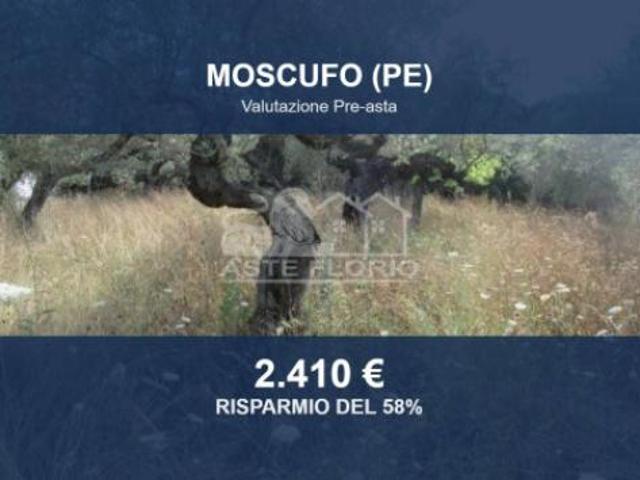 Terreno in vendita a Moscufo, Abruzzo