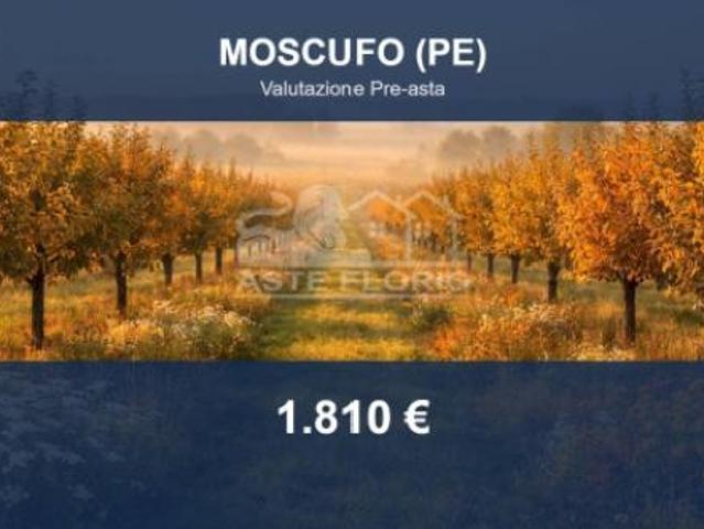 Terreno in vendita a Moscufo, Abruzzo