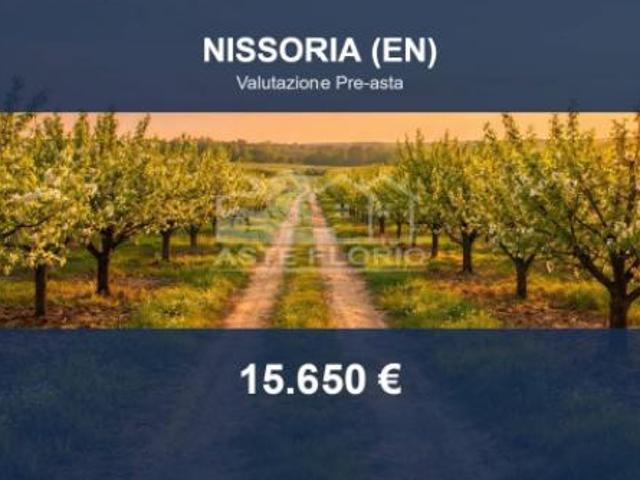 Terreno in vendita a Nissoria, Sicilia