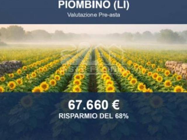 Terreno in vendita a Tolla, Piombino