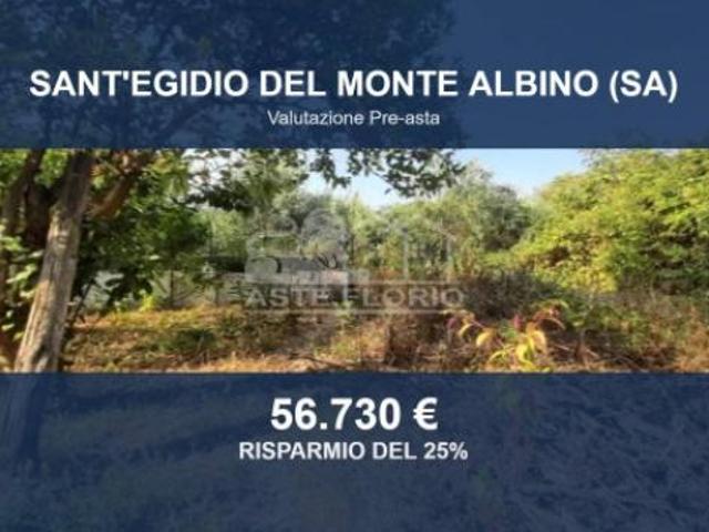 Terreno in vendita a Sant'egidio Del, Campania