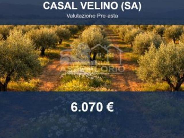 Terreno in vendita a Casal Velino, Salerno