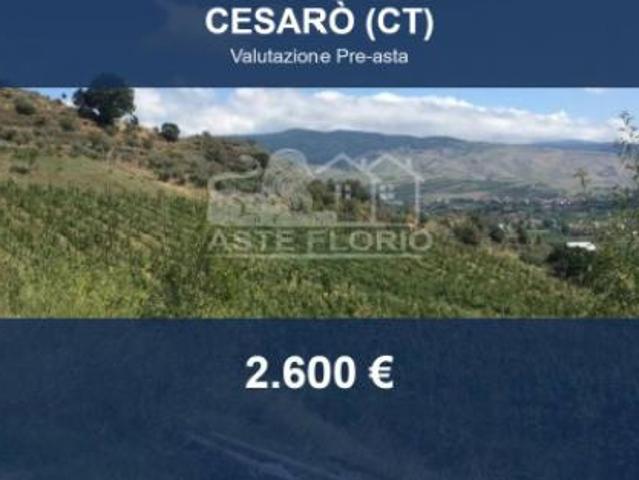 Terreno in vendita a Risaro, Sicilia