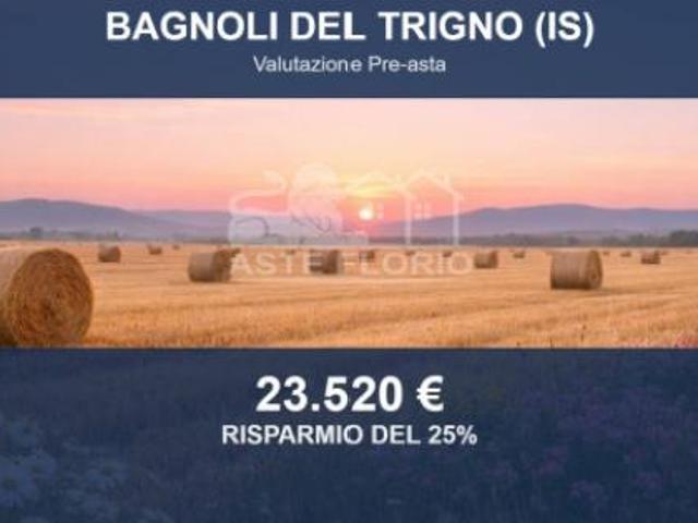 Terreno in vendita a Bagnoli Del Trigno, Molise