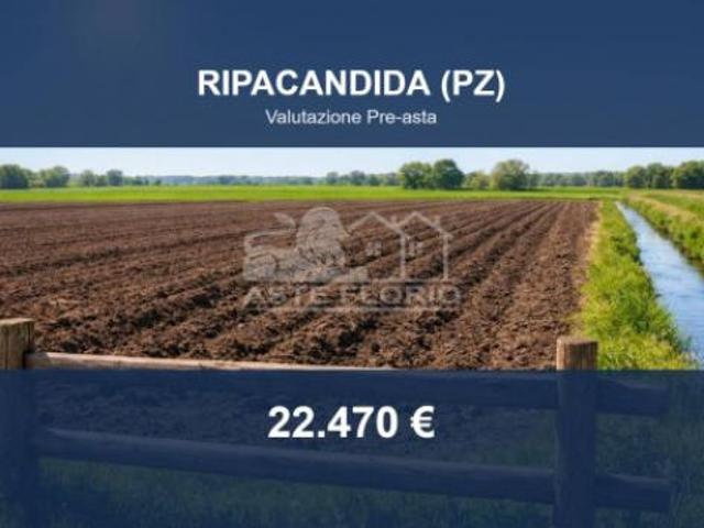 Terreno in vendita a Ripacandida, Basilicata