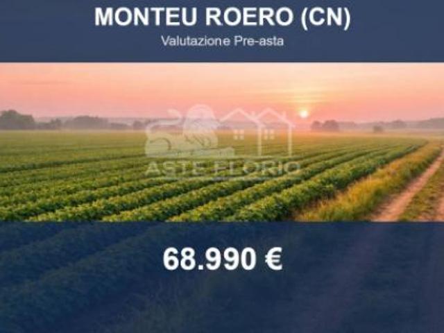 Terreno in vendita a Vignano, Monteu Roero