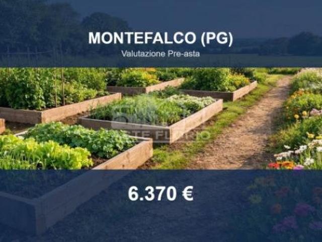 Terreno in vendita a Montefalco, Umbria
