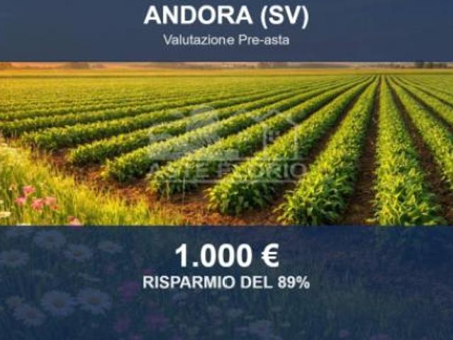 Terreno in vendita a Stellanello, Liguria
