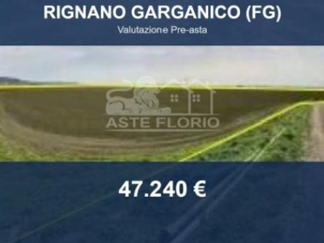 Terreno in vendita a Puglia, Foggia