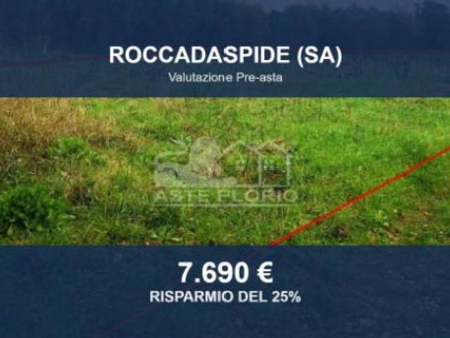 Terreno in vendita a Roccadaspide, Campania
