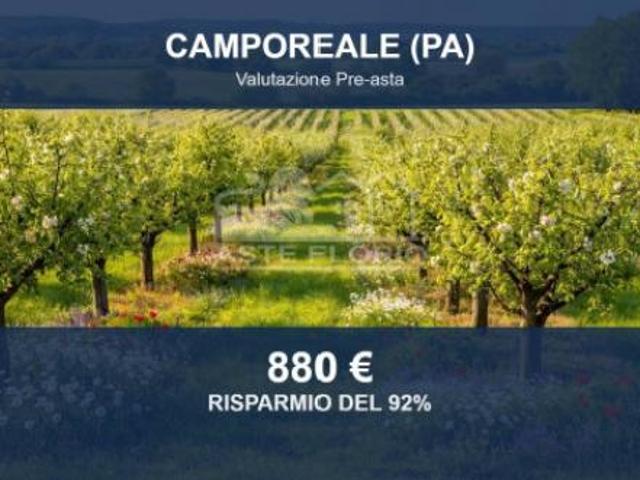 Terreno in vendita a Camporeale, Sicilia