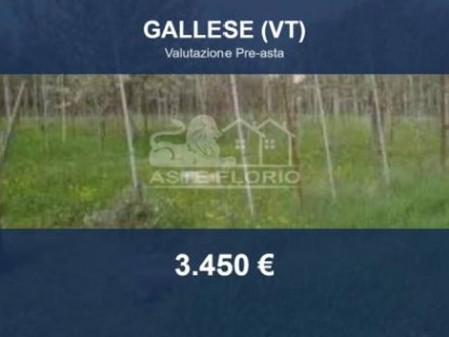 Terreno in vendita a Vignanello, Lazio