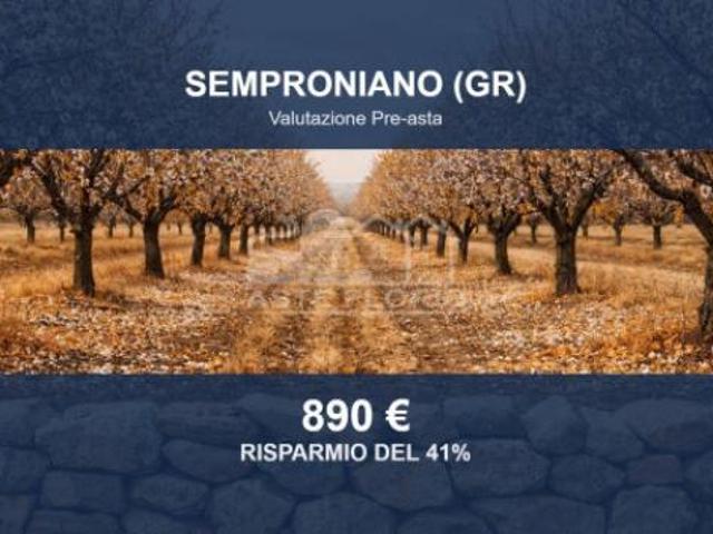 Terreno in vendita a Unione dei Comuni Montani Amiata Grossetana, Semproniano