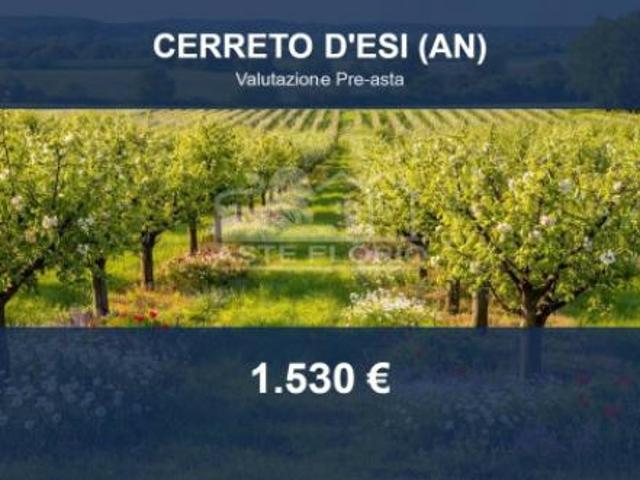 Terreno in vendita a Marche, Ancona