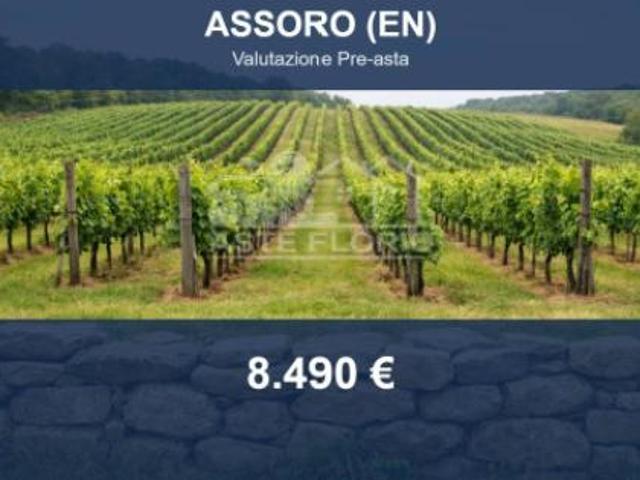 Terreno in vendita a San Vincenzo Paglialunga, Assoro