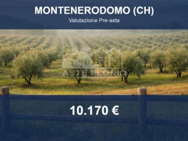 Terreno in vendita a Torricella Peligna, Chieti
