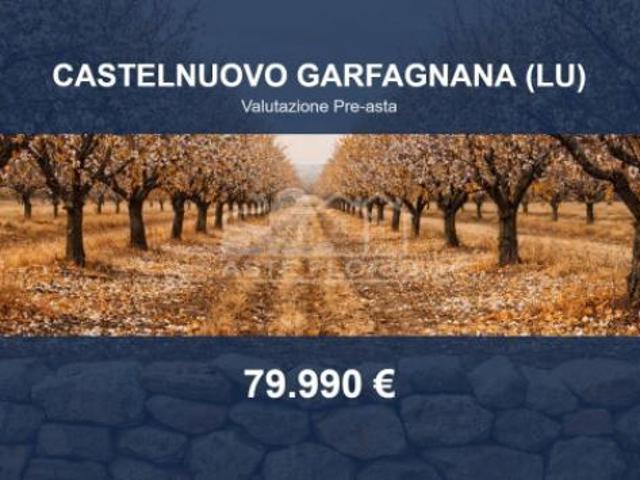 Terreno in vendita a Unione Comuni Garfagnana, Castelnuovo Di Garfagnana