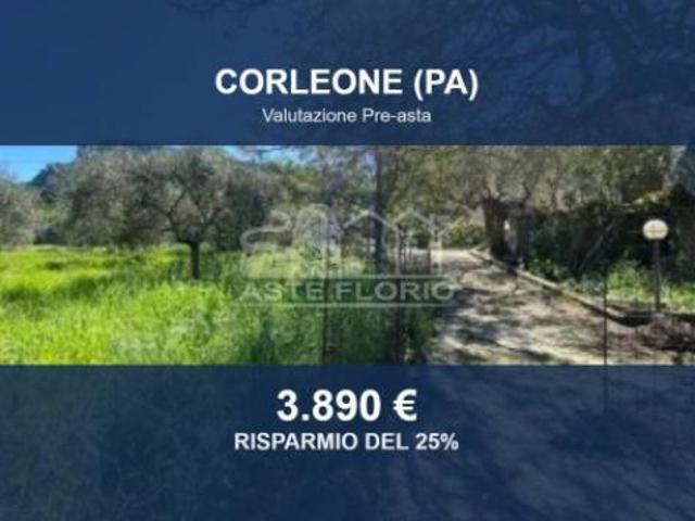 Terreno in vendita a Corleone, Sicilia