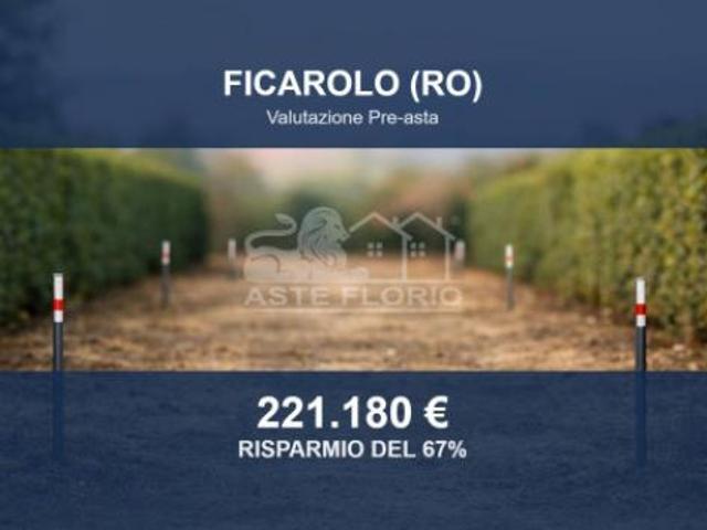 Terreno in vendita a Ficarolo, Veneto